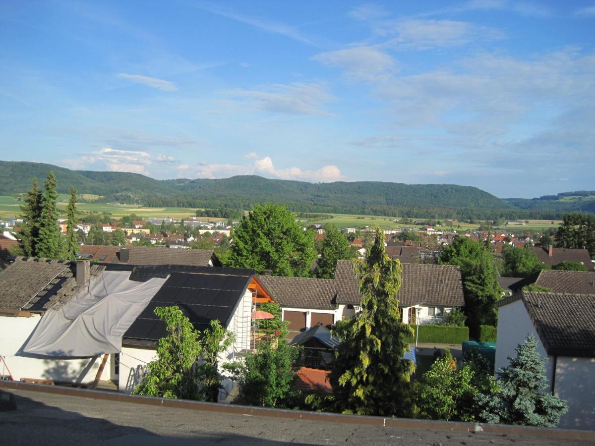 Haus Am Weinberg Apartment Erzingen Exterior photo